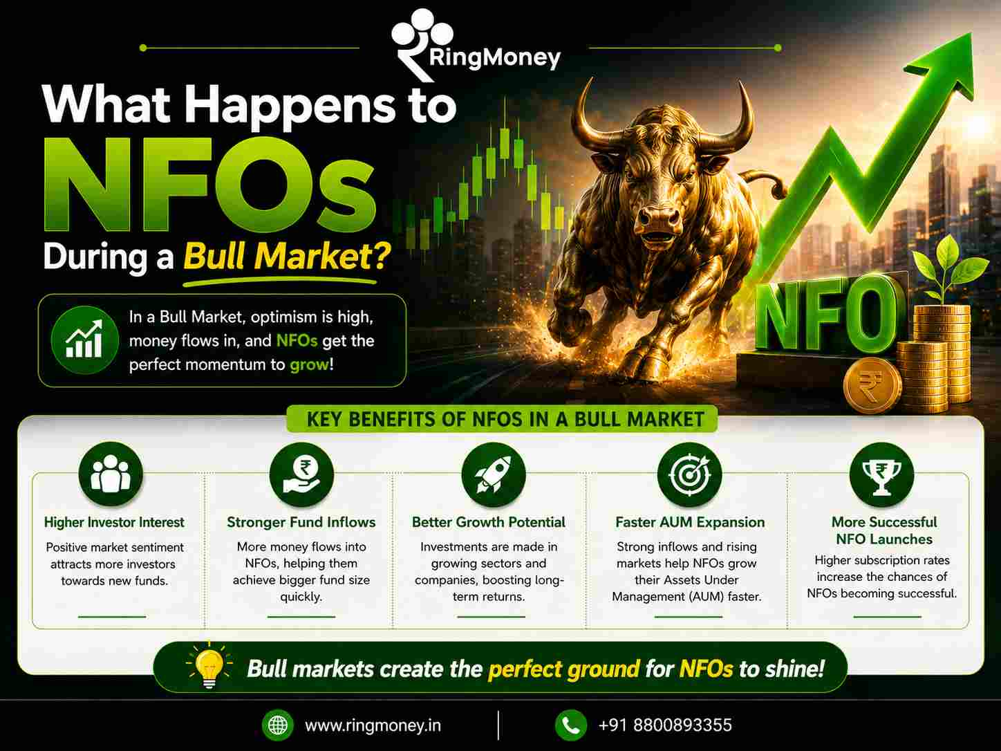 What Happens to NFOs During a Bull Market?